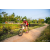Team 307 / Raid Amazones Sri Lanka 2022 - J5 VTT