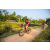 Team 07 / Raid Amazones Sri Lanka 2022 - J5 VTT
