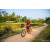 Team 340 / Raid Amazones Sri Lanka 2022 - J5 VTT