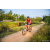 Team 70 / Raid Amazones Sri Lanka 2022 - J5 VTT