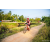 Team 17 / Raid Amazones Sri Lanka 2022 - J5 VTT