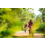 Team 324 / Raid Amazones Sri Lanka 2022 - J5 VTT