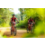 Team 10 / Raid Amazones Sri Lanka 2022 - J5 VTT