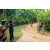Team 28 / Raid Amazones Sri Lanka 2022 - J5 VTT