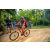 Team 83 / Raid Amazones Sri Lanka 2022 - J5 VTT