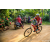 Team 57 / Raid Amazones Sri Lanka 2022 - J5 VTT