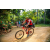 Team 319 / Raid Amazones Sri Lanka 2022 - J5 VTT