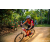 Team 47 / Raid Amazones Sri Lanka 2022 - J5 VTT