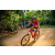 Team 47 / Raid Amazones Sri Lanka 2022 - J5 VTT