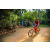 Team 55 / Raid Amazones Sri Lanka 2022 - J5 VTT