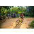 Team 304 / Raid Amazones Sri Lanka 2022 - J5 VTT