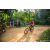 Team 304 / Raid Amazones Sri Lanka 2022 - J5 VTT