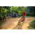 Team 326 / Raid Amazones Sri Lanka 2022 - J5 VTT