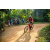 Team 91 / Raid Amazones Sri Lanka 2022 - J5 VTT