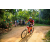 Team 14 / Raid Amazones Sri Lanka 2022 - J5 VTT