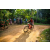 Team 37 / Raid Amazones Sri Lanka 2022 - J5 VTT