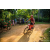 Team 15 / Raid Amazones Sri Lanka 2022 - J5 VTT