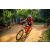 Team 31 / Raid Amazones Sri Lanka 2022 - J5 VTT