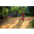 Team 06 / Raid Amazones Sri Lanka 2022 - J5 VTT