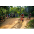 Team 06 / Raid Amazones Sri Lanka 2022 - J5 VTT