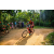 Team 45 / Raid Amazones Sri Lanka 2022 - J5 VTT