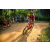 Team 36 / Raid Amazones Sri Lanka 2022 - J5 VTT