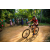 Team 311 / Raid Amazones Sri Lanka 2022 - J5 VTT