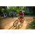 Team 311 / Raid Amazones Sri Lanka 2022 - J5 VTT