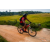 Team 69 / Raid Amazones Sri Lanka 2022 - J5 VTT