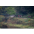 Team 18 / Raid Amazones Sri Lanka 2022 - J5 VTT