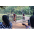 Team 78 / Raid Amazones Sri Lanka 2022 - J5 VTT