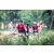 Team 37 / Raid Amazones Sri Lanka 2022 - J5 VTT