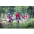 Team 55 / Raid Amazones Sri Lanka 2022 - J5 VTT