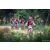 Team 312 / Raid Amazones Sri Lanka 2022 - J5 VTT