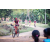 Team 71 / Raid Amazones Sri Lanka 2022 - J5 VTT