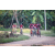 Team 64 / Raid Amazones Sri Lanka 2022 - J5 VTT
