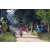 Team 32 / Raid Amazones Sri Lanka 2022 - J5 VTT