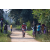 Team 38 / Raid Amazones Sri Lanka 2022 - J5 VTT