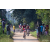 Team 83 / Raid Amazones Sri Lanka 2022 - J5 VTT