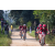 Team 21 / Raid Amazones Sri Lanka 2022 - J5 VTT