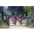 Team 40 / Raid Amazones Sri Lanka 2022 - J5 VTT