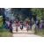 Team 31 / Raid Amazones Sri Lanka 2022 - J5 VTT