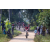 Team 311 / Raid Amazones Sri Lanka 2022 - J5 VTT