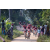 Team 71 / Raid Amazones Sri Lanka 2022 - J5 VTT