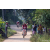 Team 62 / Raid Amazones Sri Lanka 2022 - J5 VTT