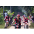 Team 42 / Raid Amazones Sri Lanka 2022 - J5 VTT