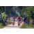 Team 76 / Raid Amazones Sri Lanka 2022 - J5 VTT