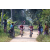 Team 92 / Raid Amazones Sri Lanka 2022 - J5 VTT