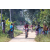 Team 70 / Raid Amazones Sri Lanka 2022 - J5 VTT