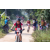 Team 70 / Raid Amazones Sri Lanka 2022 - J5 VTT